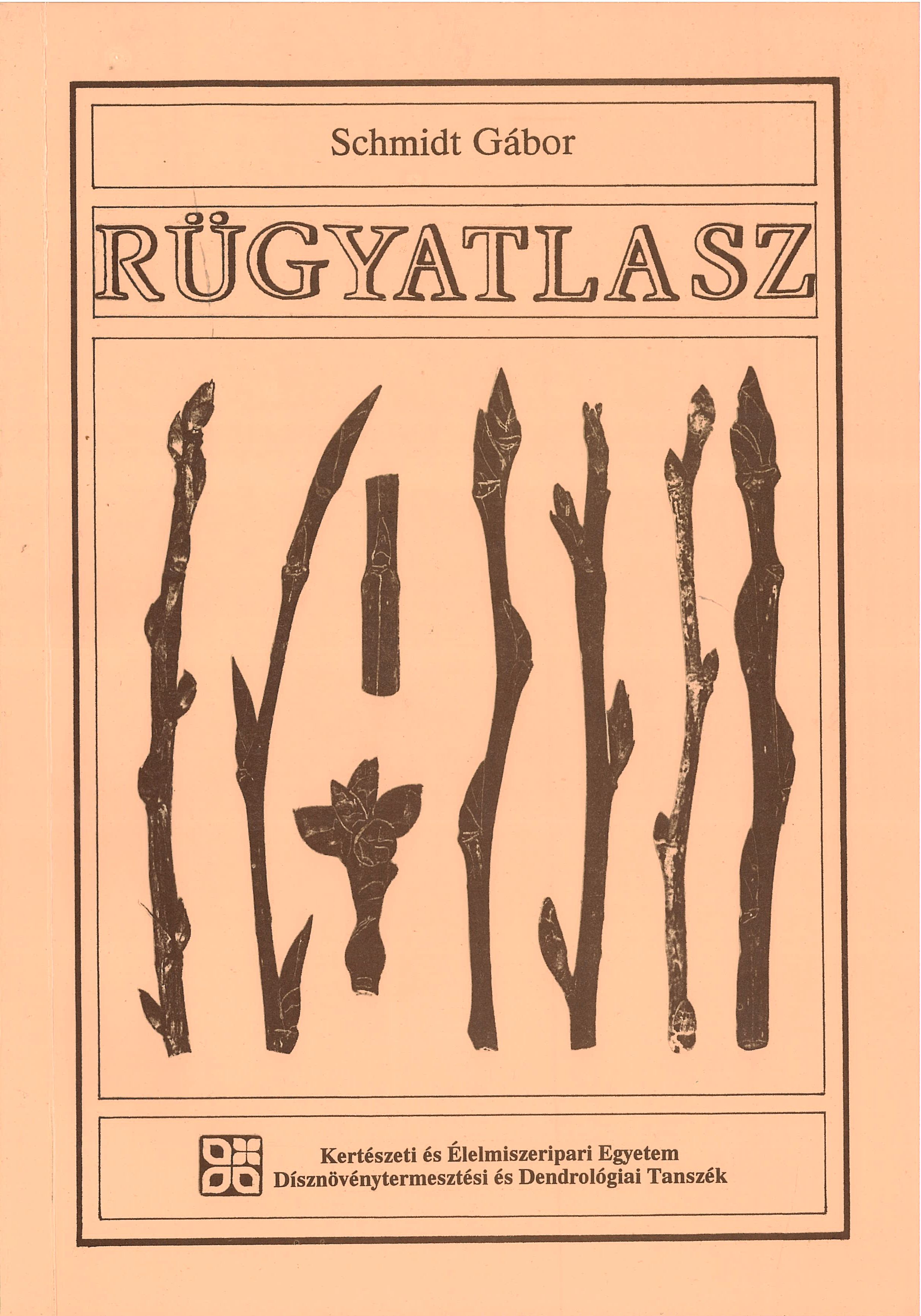 Rügyatlasz